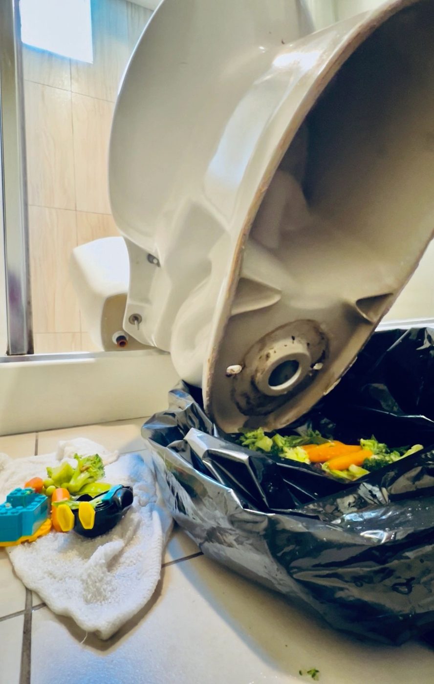 Toilet pulled to clear a stubborn clog